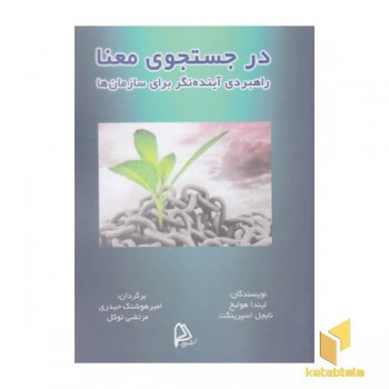 درجستجوی معنا راهبردی آینده نگر برای سازمان ها