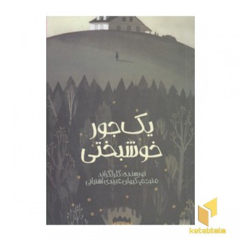 رمان نوجوان-یک جور خوشبختی