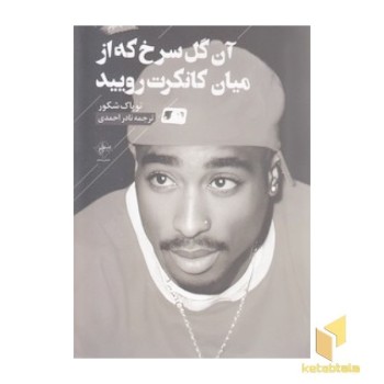 آن گل سرخ که از میان کانکرت رویید