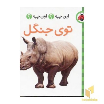 توی جنگل - فرهنگ تصویری این چیه؟ اون چیه؟