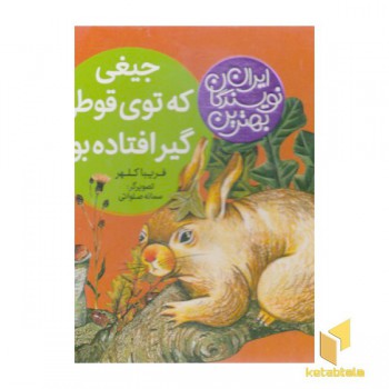 بهترین نویسندگان ایران-جیغی که توی قوطی گیرافتاده بود