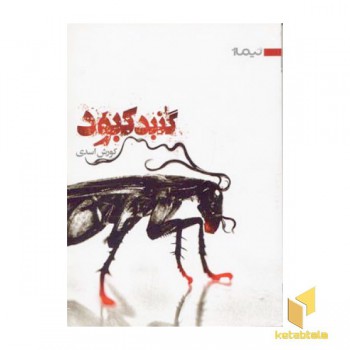 گنبد کبود