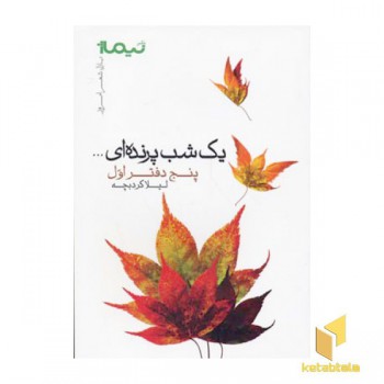 یک شب پرنده ای