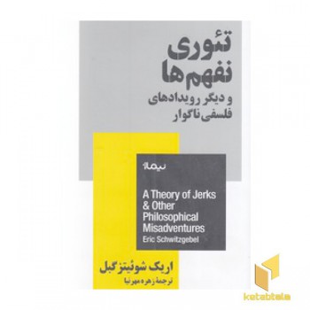 تئوری نفهم ها