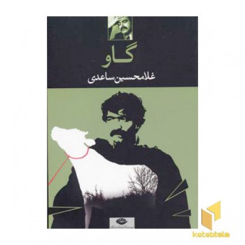 گاو
