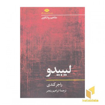 لیبیدو-مفاهیم روانکاوی
