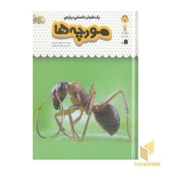 یک فنجان دانستنی درباره ی 22-مورچه ها