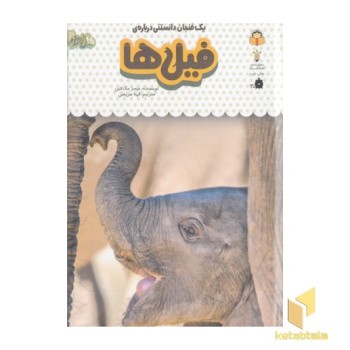 یک فنجان دانستنی درباره ی 6-فیل ها