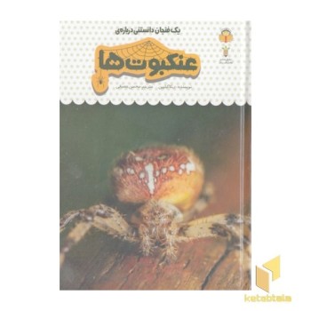 یک فنجان دانستنی درباره ی 25-عنکبوت ها