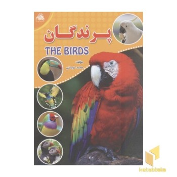 پرندگان