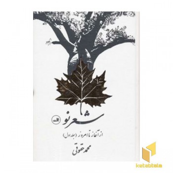 شعر نو از آغاز تا امروز