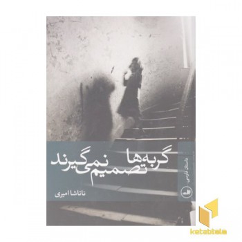 گربه ها تصمیم نمی گیرند