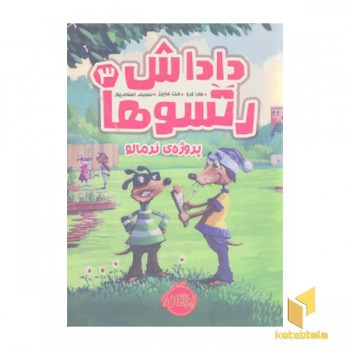 داداش رتسوها 3-پروژه ی نرمالو