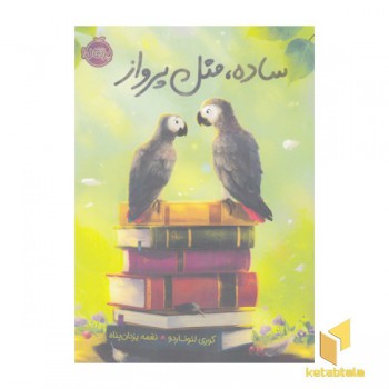 ساده مثل پرواز