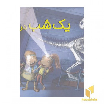 یک شب در موزه