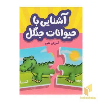 آشنایی با حیوانات جنگل