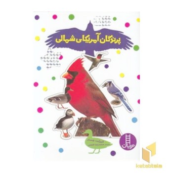 بچسبان و بیاموز (18) پرندگان آمریکای شمالی