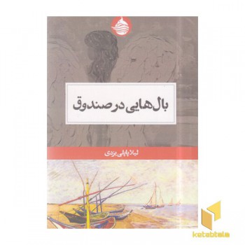 بال هایی در صندوق