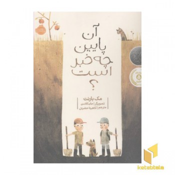آن پایین چه خبر است