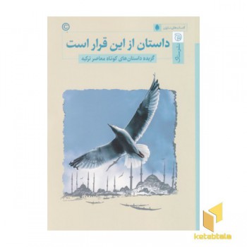 داستان از این قرار است