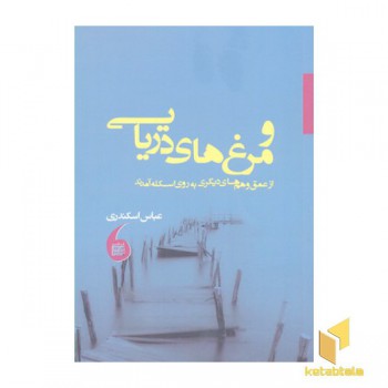 و مرغ های دریایی