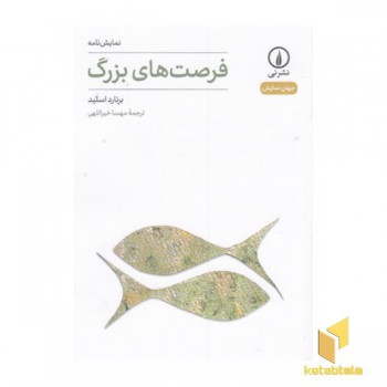 فرصت های بزرگ