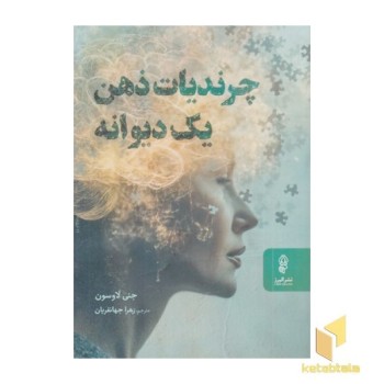 چرندیات ذهن یک دیوانه