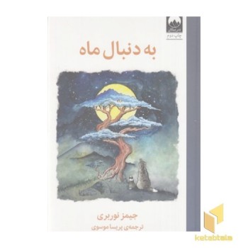 به دنبال ماه