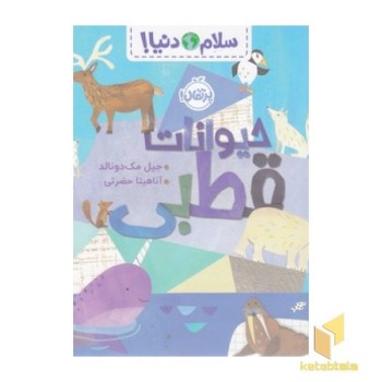 سلام دنیا! - حیوانات قطبی