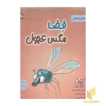 فضا مگس عجول