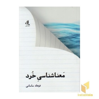 معنا شناسی خرد