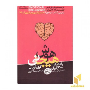راهنمای به کارگیری هوش هیجانی