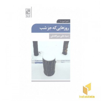 روزهایی که جز شب