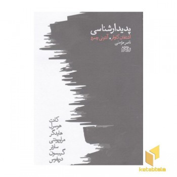 پدیدار شناسی