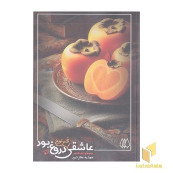 عاشقی گس ترین دروغ بود