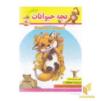 بچه حیوانات جنگلی