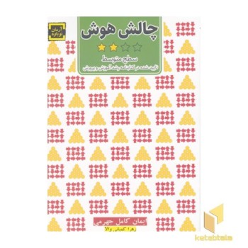 چالش هوش 2-سطح متوسط