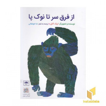 از فرق سر تا نوک پا