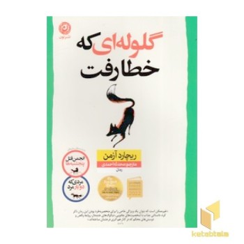 گلوله ای که خطا رفت