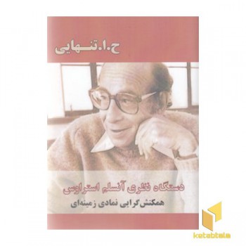 دستگاه نظری آنسلم استراوس