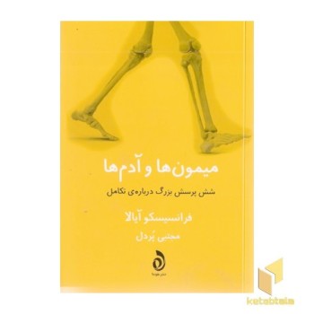 میمون ها و آدم ها