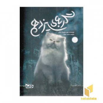 گربه ی سیزدهم
