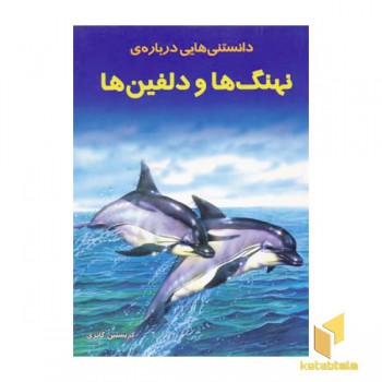 دانستنیهایی درباره نهنگها و دلفین ها