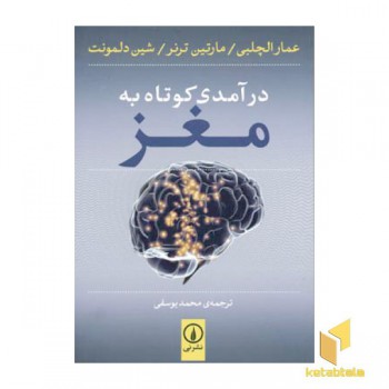 درآمدی کوتاه به مغز