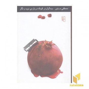 سه گزارش کوتاه درباره نوید و نگار