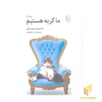 ما گربه هستیم