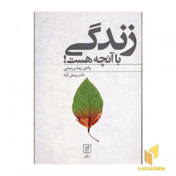 زندگی با آنچه هست