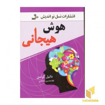 هوش هیجانی