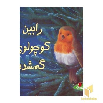 رابین کوچولوی گمشده