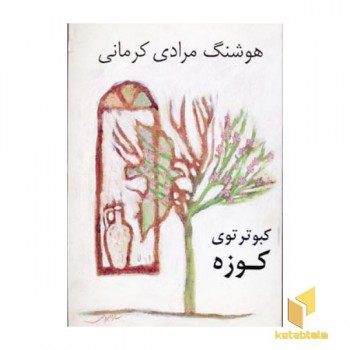 کبوتر توی کوزه